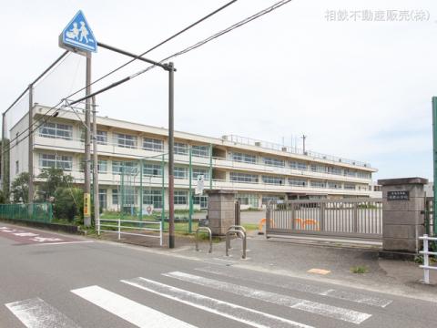 海老名市立有鹿小学校(2024年7月)