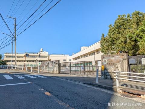 横浜市立松本中学校(2024年11月)