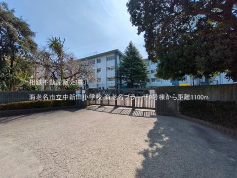 海老名市立中新田小学校(2025年3月)