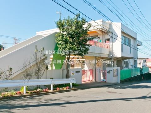 柏保育園(2021年11月)