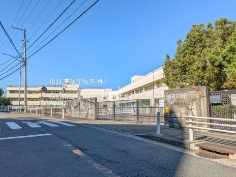 横浜市立松本中学校(2024年11月)