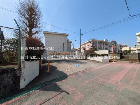 綾瀬市立天台小学校(2025年3月)