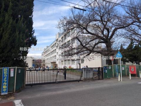 大和市立緑野小学校(2025年3月)