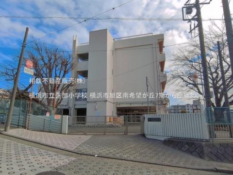 横浜市立善部小学校(2026年3月)