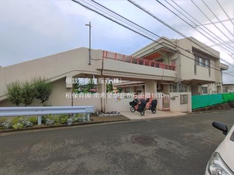 柏保育園(2026年6月)