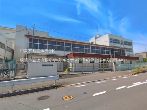横浜市立上白根小学校(2026年6月)