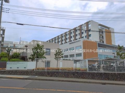 神奈川県立がんセンター(2026年6月)