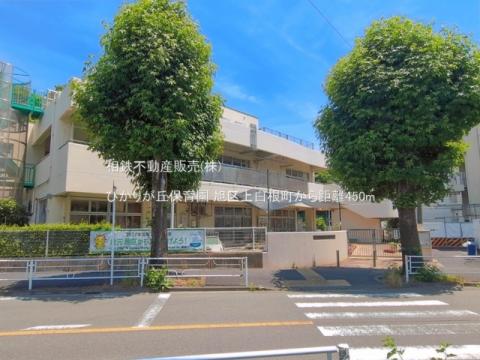 ひかりが丘保育園(2026年6月)