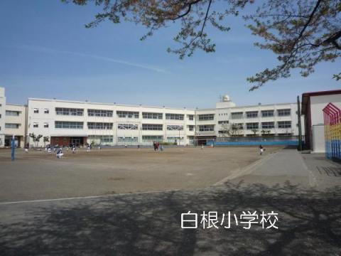 白根小学校