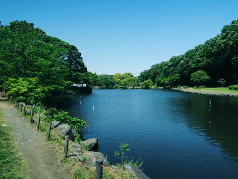 こども自然公園