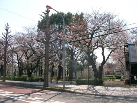 東柏ケ谷近隣公園