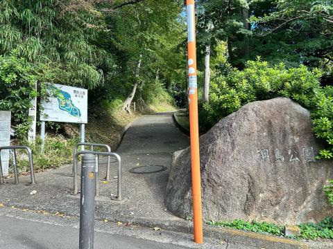 綱島公園