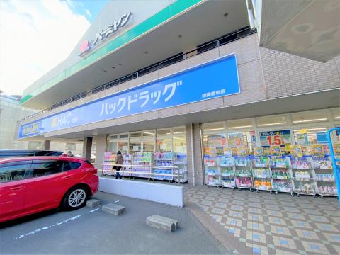 ハックドラッグ緑園都市店(2024年3月)