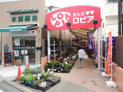 ロピア希望が丘店