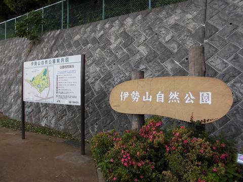 伊勢山自然公園