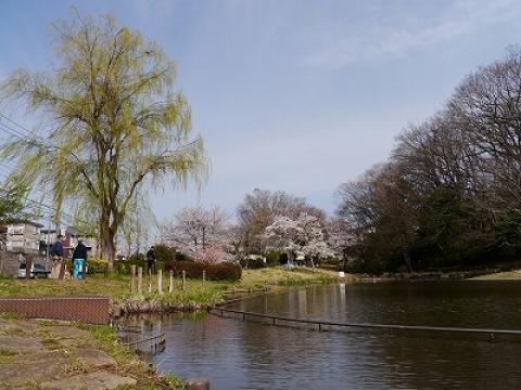桜台公園