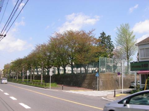 大谷小学校(2012年4月)