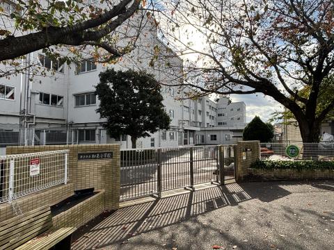 和泉小学校(2025年11月)