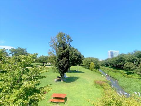 相模三川公園(2025年7月)