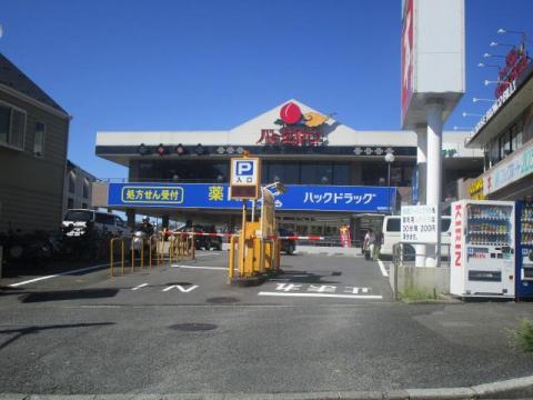ハックドラッグ　緑園都市店(2017年9月)