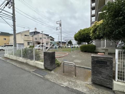 マンションに隣接した公園(2025年6月)