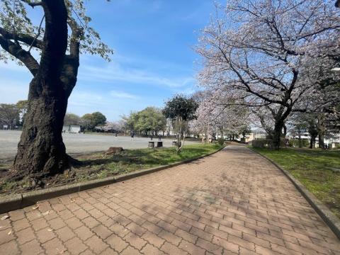 東柏ケ谷近隣公園