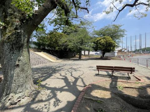 桜ヶ丘公園(2026年5月)