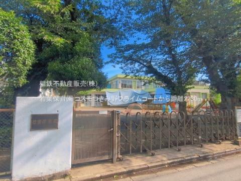 若葉保育園(2026年6月)