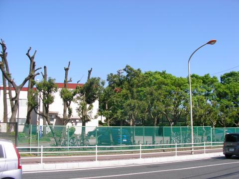 市立綾北中学校(2012年5月)