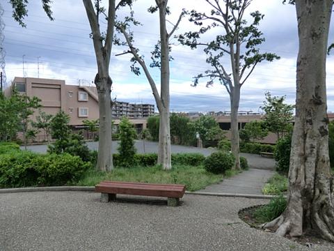 中沢町清水ヶ丘公園