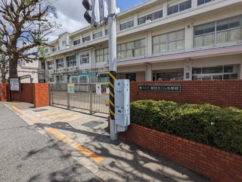 横浜市立瀬谷さくら小学校(2023年8月)