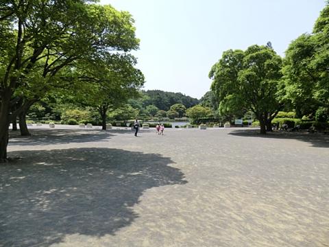 こども自然公園