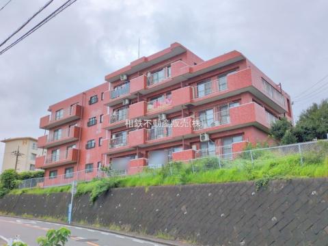 ライオンズマンション菅田