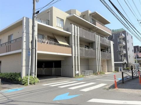 パルミナード溝ノ口