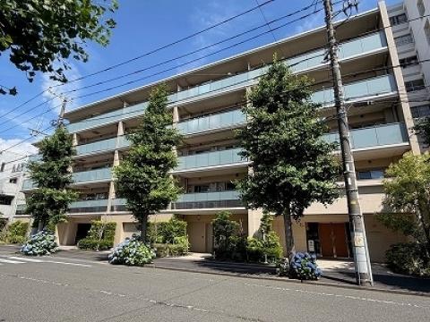 サンメゾン平塚代官町