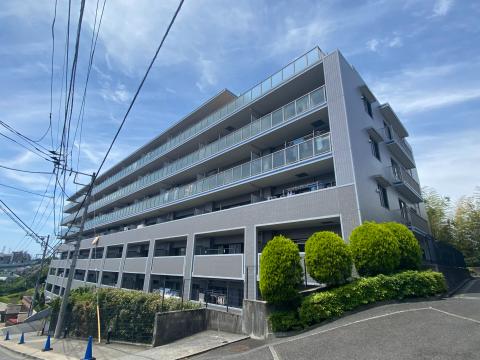 ゼファーヒルズトゥ横浜戸塚