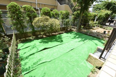 庭