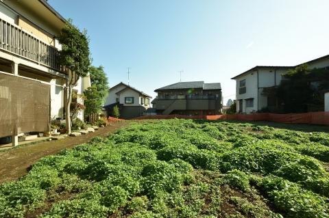 横浜市神奈川区松ケ丘土地①